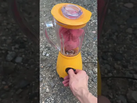 鮮やかな色をした生物で作る飲み物は特殊な効果をもたらして驚きを感じた