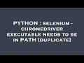 PYTHON selenium - chromedriver executable needs to be in PATH