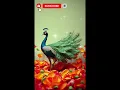 Download Lagu Janda Muda #videomusic #fyp