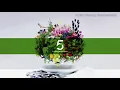 Download Lagu Mrs. GREEN APPLE - In the Morning (Instrumental)