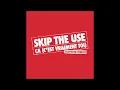 SKIP THE USE – Ça (c’est vraiment toi) (Telephone Tribute)