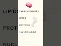 What are the monomers of the 4 major biological macromolecules