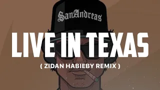 Download LIVE IN TEXAS ( ZIDAN HABIEBY ) REMIX 2024 ! MP3