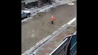 Двухлетний малыш сбежал из детского сада в Новосибирске и его никто не хватился