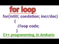 for loop concepts and examples for C programming in Amharic