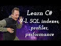 Lesson 9-1 Performance Searching in DB Index SQL profiler