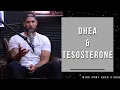 Download Lagu Supplementing With DHEA For Hormone Balance And Improved Testosterone