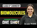 Lagu Biomolecules Class 12 Chemistry One Shot | NCERT Full Revision |  VIJETA 2026