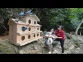 Building a Wooden Pigeon Coop – Peaceful Farm Life, SURVIVAL ALONE