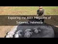 Download Lagu Exploring the 400+Megaliths  of Sulawesi, Indonesia