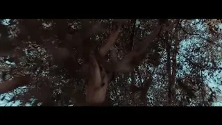 Wegz 21 ويجز واحد وعشرين حالات واتس 