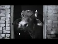 Wazir patar - A DAY IN MERC ft. Azaad 4L | OFFICIAL VIDEO | WZR TANK