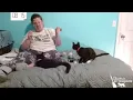 Evening Visits Lots of Social Progress - California Kittens