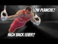 BEST Exercises for Maltese