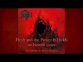 Death - Flesh and the Power it Holds (orchestral cover)
