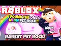 I Found the ONLY NEON PET ROCK in Adopt Me NEW Adopt Me Rock Pet Update Roblox
