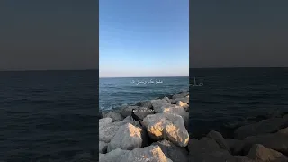 تاني هنعيده تاني يا حبيبي اغاني اكسبلور 