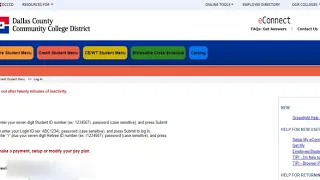 How to Make a Payment Using E-Connect