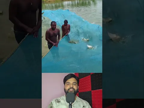 बाढ़ के पानी में मछलियां अचानक उछलती हुई देखी गयीं 😲