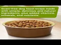 TOP 4 Best Dog Foods 2023