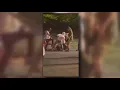 Buffalo Police arrest 2 suspects following an assault near Gallagher Beach
