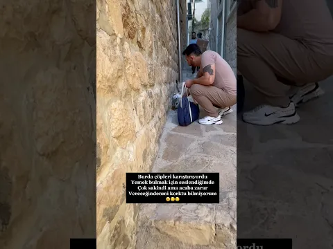 Mama verirken kedi elimi ısırdı sizce neden böyle bir şey yaptı 🥺 #köpek #kedi #cat #cats#catvideos