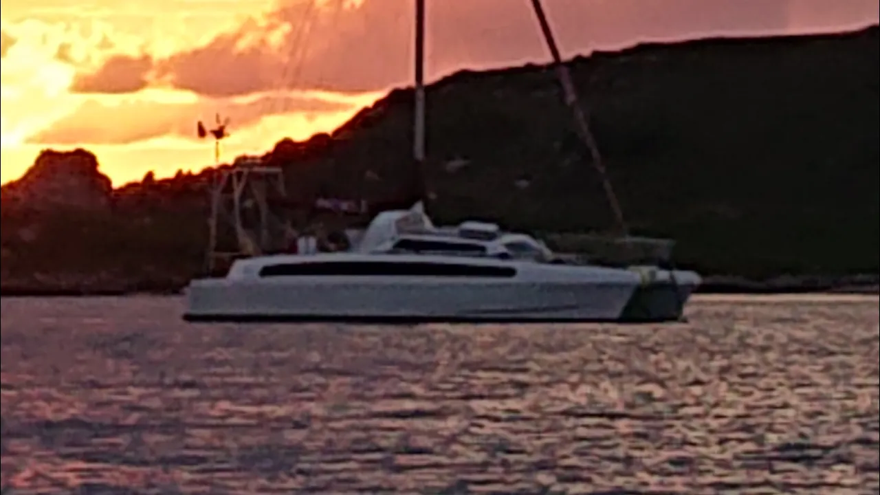 Sailing Pickle Family Live Stream
