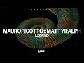 Mauro Picotto vs Matty Ralph - Lizard (Extended Mix)