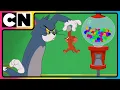 Download Lagu Tom and Jerry | Jerry the Troublemaker | Cartoon for Kids | Only on Cartoon Network India