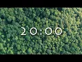 Download Lagu Relaxing 20 Minute Timer - Forest \u0026 Woodland With Relaxing Ambiance (No Music)