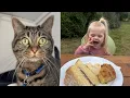 Download Lagu We Found a CAT for Arabella ❤️ \u0026 A very EMOTIONAL day