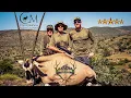 Download Lagu Haus of Arms' EPIC African Safari