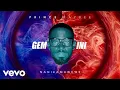 Download Lagu Prince Kaybee - Nanikamawewe (Visualizer) ft. Polaris