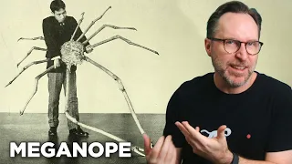 Animals That Were Clearly Designed By Satan
