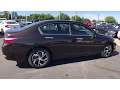 2017 HONDA ACCORD Redding Eureka Red Bluff Northern California Sacramento CA 17H646