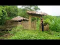 Download Lagu Living Off-Grid In The Forest, Gardening, Growing Vegetables, Building A Bamboo House