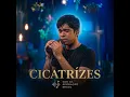 Cicatrízes