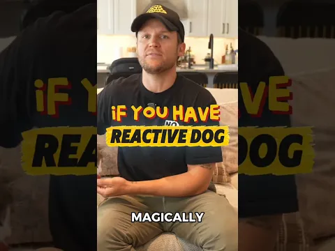 Avoiding Every Trigger Will Not Fix Reactivity