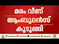 മരംവീണ് അട്ടപ്പാടി ചുരത്തിൽ ആംബുലൻസ് കുടുങ്ങി; ചികിത്സ വൈകി വെന്റിലേറ്ററിലായിരുന്ന യുവാവ് മരിച്ചു