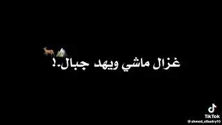 مهرجان حمو الطيخا و حمو التانجو البت ديه تخصني توزيع ماندو العالمي      دندنها