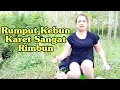 Lagu Lubuk kecil tempat ikan berkumis