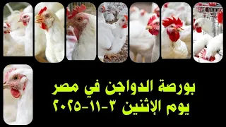 اسعار الفراخ البيضاء اليوم سعر الفراخ البيضاء اليوم الإثنين 3 11 2025 في مصر جمله وقطاعي 