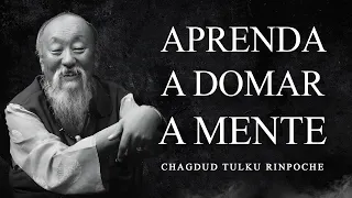 Chagdud Tulku Rinpoche - Aprenda a Domar a Mente