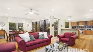 https://i.ytimg.com/vi_webp/nesse21pzxA/mqdefault.webp