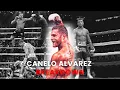 Canelo Alvarez s Vicious Power Shots Magnificent Defense Explained - Technique Breakdown