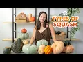What are the different types of pumpkins Squashes explained