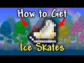 How to Find Ice Skates in Terraria 1 4 4 9 Seed