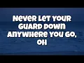 Turnstile - NEVER ENOUGH (lyrics)