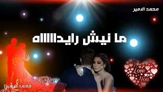 اليسا سالونى كتير دندنها
