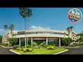 Sheraton Tampa Brandon Hotel Tampa FL United States Hotel Review